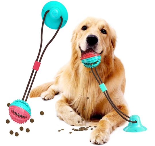 section-cup-dog-toy-treats